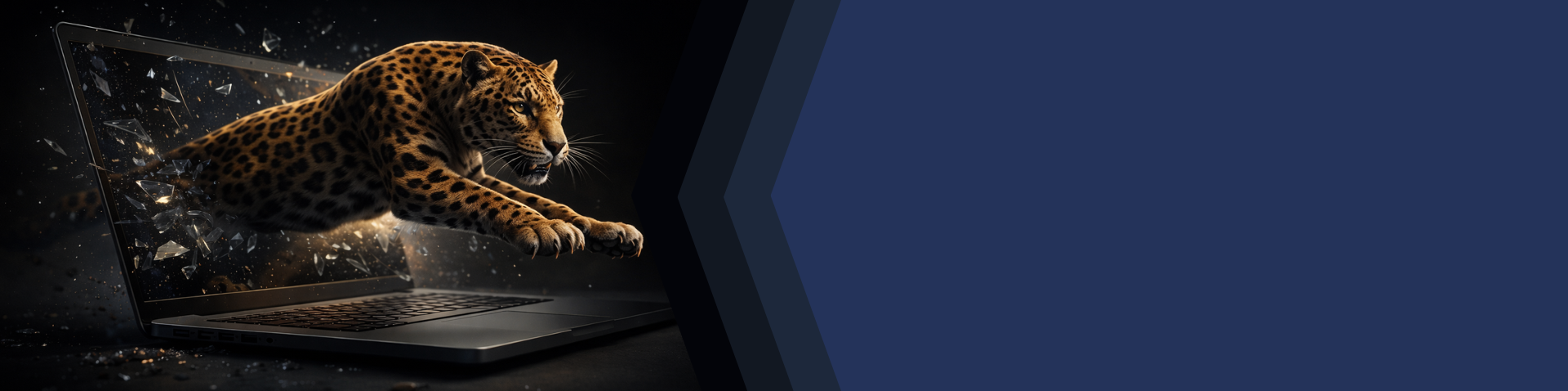 Your.Software banner