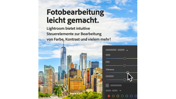 Adobe Foto-Abo 1 Benutzer 1 Jahr