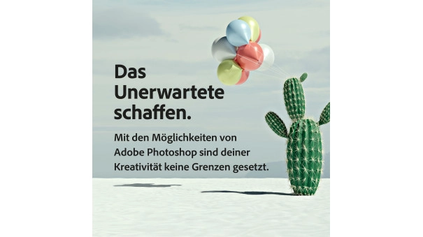 Adobe Foto-Abo 1 Benutzer 1 Jahr