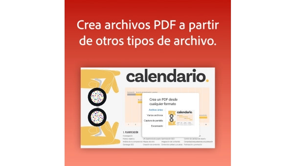 Adobe Acrobat Professional 1 Usuario 1 Año