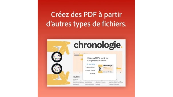 Adobe Acrobat Professional 1 utilisateur 1 an