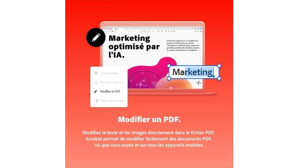 Adobe Acrobat Standard 1 an