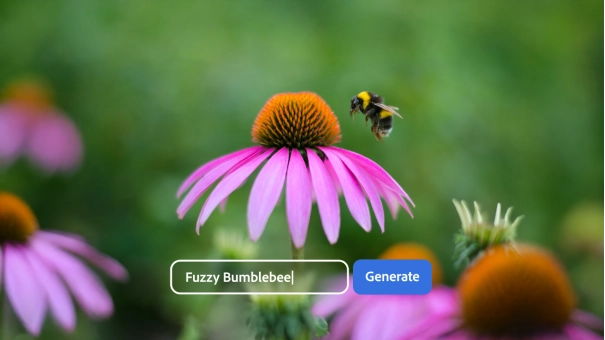 Adobe Photoshop Elements & Premiere Elements 2026