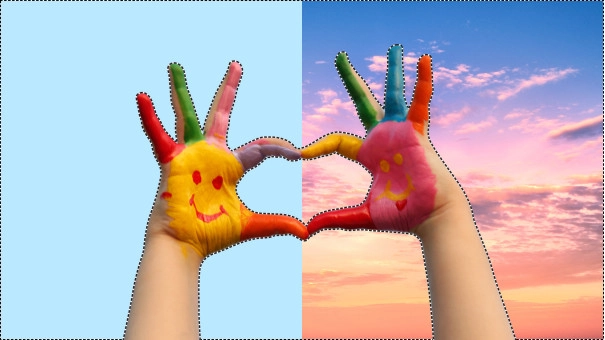 Adobe Photoshop Elements + Premiere Elements 2024