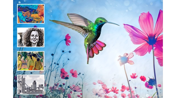 Adobe Photoshop Elements + Premiere Elements 2024