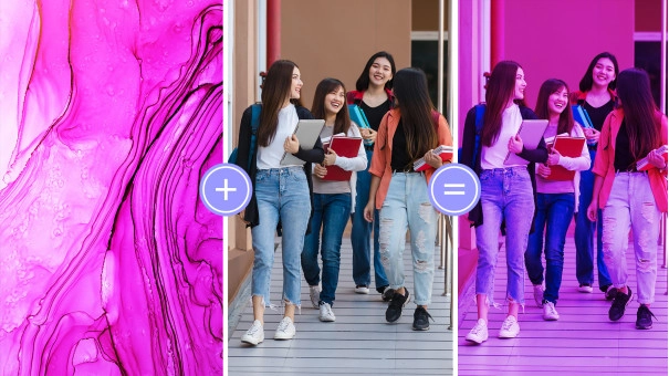Adobe Photoshop Elements + Premiere Elements 2024