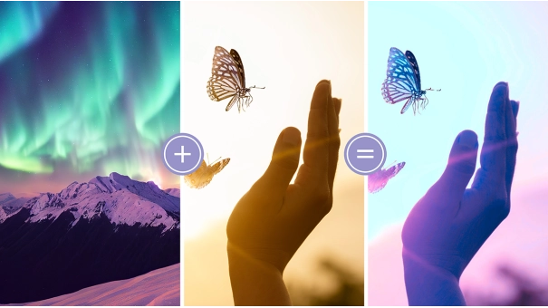 Adobe Photoshop Elements + Premiere Elements 2024